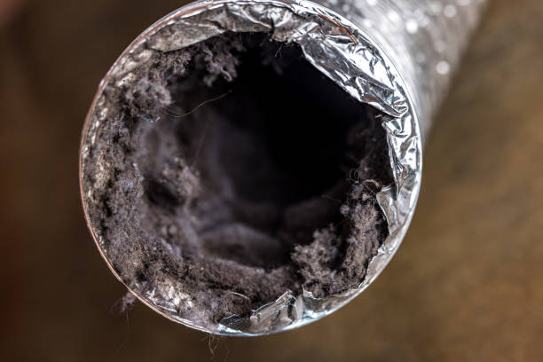 Best Commercial Air Duct Cleaning  in Meadowbrook, CA