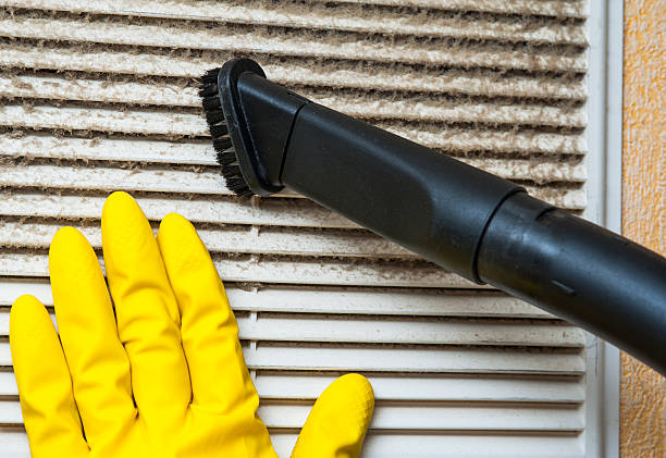 Best Professional Duct Cleaning Services  in Meadowbrook, CA